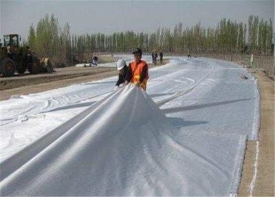 China 300g Needle Punched Geotextile for sale