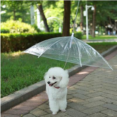 China All in 1 YaQi Auto Folding Transparent Reverse Dog Cat Umbrella for sale