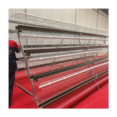 China Easy Clean Automatic Rabbit Bird Cages Layer Chicken Design Commercial Breeding For Laying Hens In Africa for sale