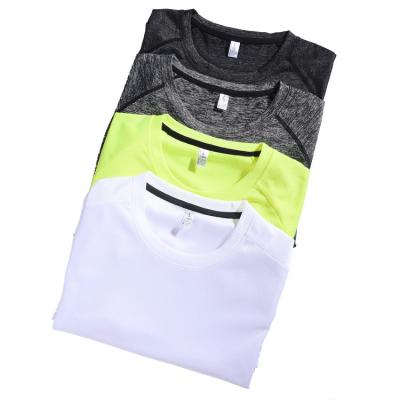 China QUICK DRY High Quality Custom Sporty Quick Dry Sports Use Running T-shirt Men Workout Gym Fitness T-Shirts for sale