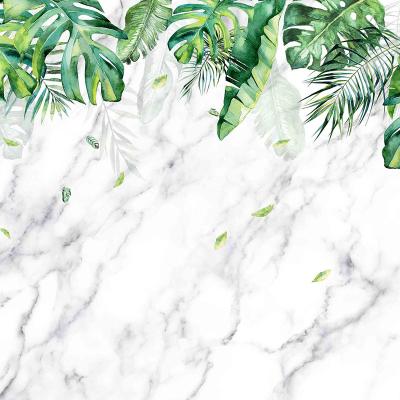 China Tropical Tropical Plants And Marble 3 D Wallpaper Home Decoration for sale