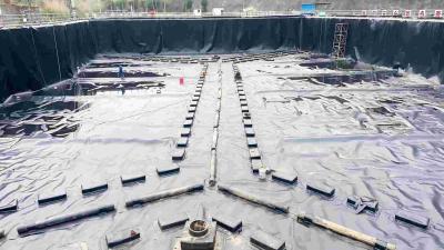 China Chemical Resistant HDPE Smooth Geomembrane Ideal for Complex Environments for sale