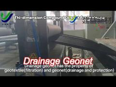 tri dimension composite geonet 200g/m2 for drainage and protection system