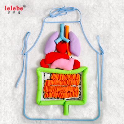 China 44*60cm Body Organ Teaching Aids Apron 2021OEM Wholesale Preschool Children Early Education Toys for sale