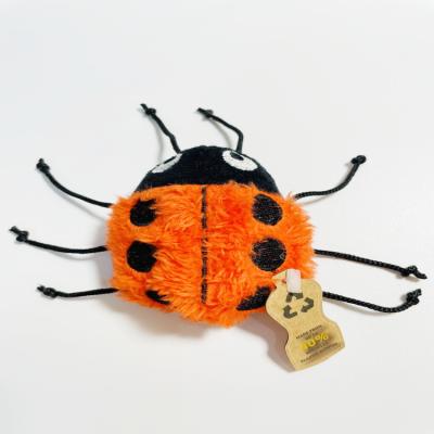 China Viable Pet Cat Plush with Catnip Toy Ladybug Bee Style Interactive Toys for Kitten for sale