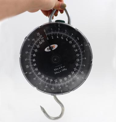 China Hanging Weight Scale China Manufacturer 5kg 10kg 25kg Mechanical Spring Balance Pendant Crane Scale for sale