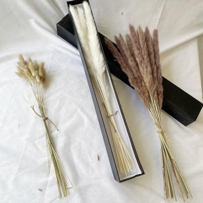 China Fashional Wholesale Small Pampas Grass With Gift Box On Amazon Sale for sale