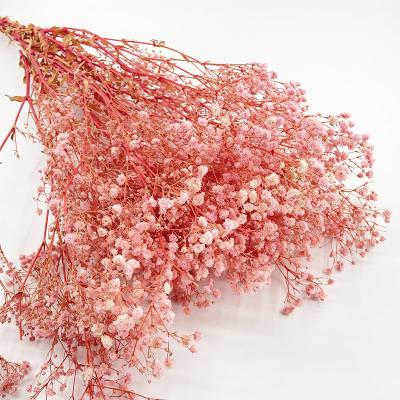 China 100% Natural Wholesale Wedding Decoration Preserved Everlasting Gypsophila Baby's Breath Everlasting Preserved Babysbreath Flowers for sale