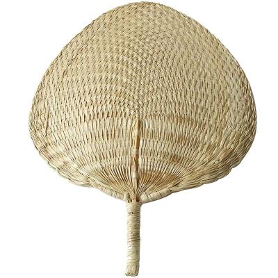 China Hot Selling Realistic Amazon Palm Leaves Cattail Leaf Dry Fan For Home Decoration for sale