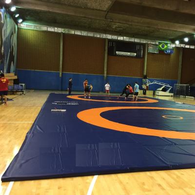 China Wrestling Training Wrestling Mat for sale