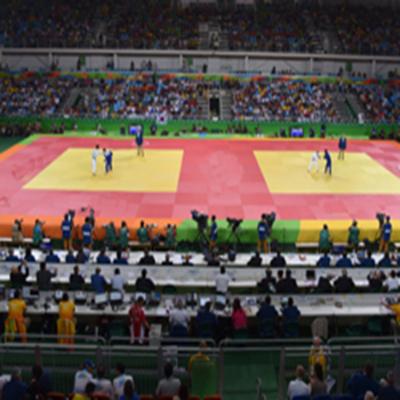 China Judo Judo Tatami Mat for sale