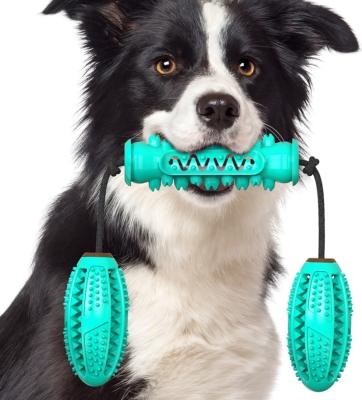 China Hot Selling Multi-Functional Plastic Multi-Function Plastic Dog Molar Amazon Bite Chew Toy for sale