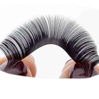 China OEM 3d Eyelash Extension Super Flexible Wholesale 3d Mink Eyelashes Synthetic Hair Flat Silk Lashes for sale