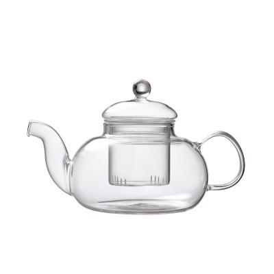 China Sustainable Modern Simple Handmade Flower Tea Pyrex Glass Heat Resistant Teapot With Infuser for sale