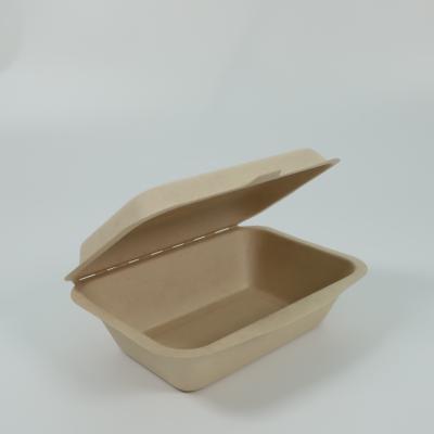 China Eco-friendly biodegradable meal box for sale