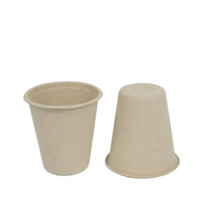 China Best Quality Disposable Degradable Made In China Luxury Food Packaging Disposable Coffee Cups And Dishes Biodegradable Cup for sale