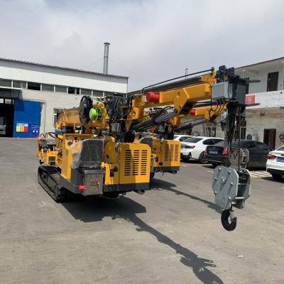 中国 Customized Spider Crawler Crane Diesel Engine And Electric Dual Power 販売のため