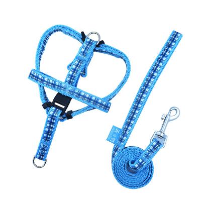 China High End Durable Farm Safe Warm Polypropylene Stocked Outdoor Dog Rope Traction Pet Harness Leash Set for sale