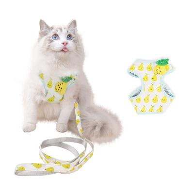 China Cute Breathable Comfortable Padded Adjustable Cat Vest Harness Fruit Pattern And Leash Set For Walking for sale