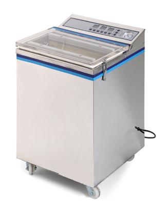 China Food Automatic Household Vacuum Packing Machine for sale