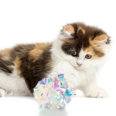 China 2.36 Inch Viable Effort Buster Toy Glitter Mylar Colorful Wrinkle Ring Paper Crinkle Snatch Ball for Multiple Cat Play for sale