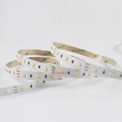 China Super Bright Non-waterproof Two-color White Adjustable Flexible Decorative Lighting 2835 SMD Dual LED CCT Strip for sale