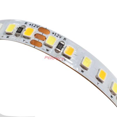 China Decorative Lighting 2835 Cool White Warm White CCT 3000K To 6500K Pure White 168 LED Chip Per Meter With Remote Dual Color LED Strip Light for sale