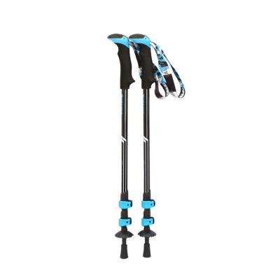 China High Quality 100% Carbon Ultralight Nordic Walking Trekking Poles for sale