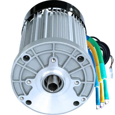 China drip-proof most popular large torque tricycle 4 wheel vehicles E BLDC motor for sale