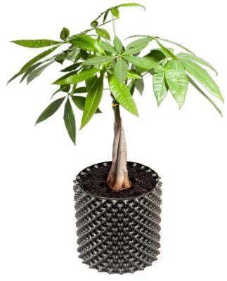 China 10-100cm minimalist new factory direct supply plastic air pruning pot container for plant root control for sale