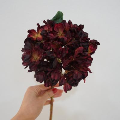 China Minimalist Simulation Flower Scorched Edge Hydrangea Home Table Decoration Art Wedding Photography Space Commercial Decorati for sale