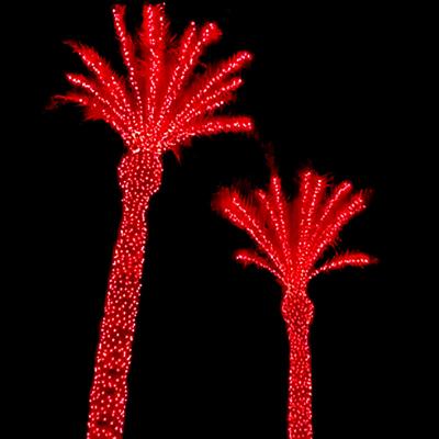 China Programmable Europe DMX 512 Decoration Matrix Program Outdoor Christmas Led Pixel RGB Coconut Palm Tree Light for sale