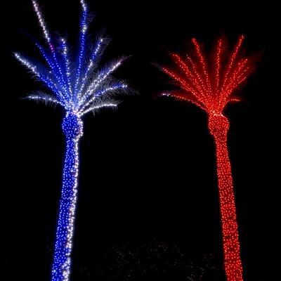 China Europe Decoration Matrix program outdoor christmas led programmable pixel rgb coconut palm tree dmx512 string light for sale