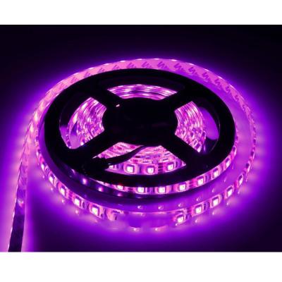 China All Waterproof IR 5M 5050 SMD RGB Remote Controller Led Strips Lighting For Led Activities for sale