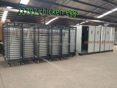 China WQ-33792 Industrial Bird Incubator For Chick , 30000 Chicken Egg Incubator for sale