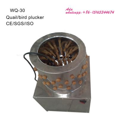 China Hot Sale Automatica Quail Plucker Poultry Plucker Machine Price In Pakistan WQ-30 for sale