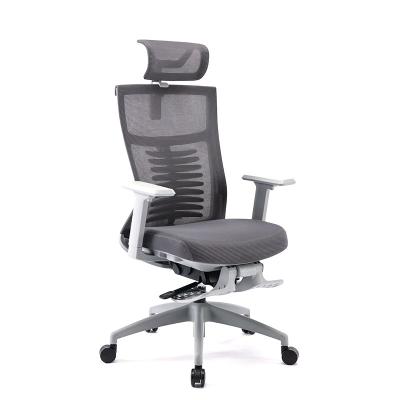 China Li&Sung 10133 Best Price Adjustable High Back (Waist) With Footrest Ergonomic Task Executive Office Mesh Chair for sale