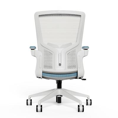 China Li&sung 10001 High Quality Medium Back Medical Swivel Adjustable Balance Mesh Chair For Computer Lumbar Support Staff Desk Ergonomic for sale