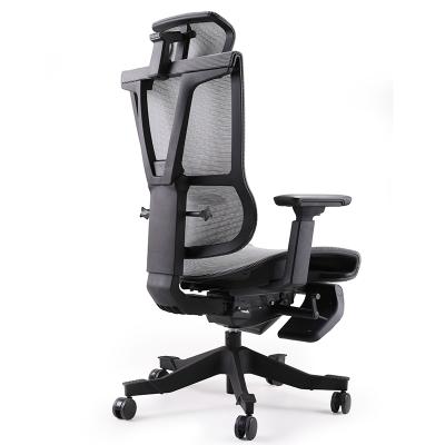 China Li&sung 10005 Adjustable Chair Ergonomic Design Full Mesh Chair High Back Executive (Height) Office Chair for sale