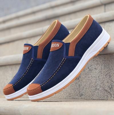 China Fashion Trend Style Anti Slip Lightweight Men's Flat Portable Walking Diary Wear Cloth Shoes Loafers Trainers For Men for sale