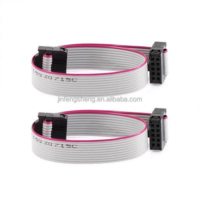 China Factory Cables IDC 10 Pin Flat Ribbon Cable Assembly and Electronic Cable Assemblies for sale