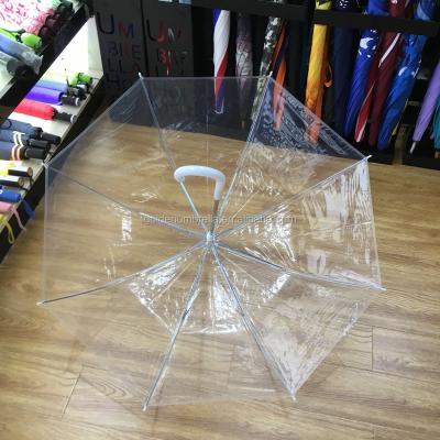 China Auto Open Most Popular Shape Auto Open Bubble Dome Fashion Transparent Umbrella for sale