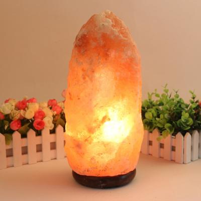 China Europe Free Sample Amazon Best Selling Dropshipping OEM Himilian Wholesale Switch Around Salt And Light In The Bible Night Light Salt Lamp for sale