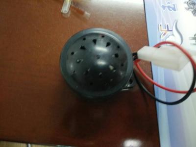 China Electric Rickshaw Parts Reverse Horn / Motor Double Horn for sale