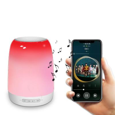 China Phone Function Wireless BT Speaker With Colorful Light LED Mood Lights Speaker Radio for sale