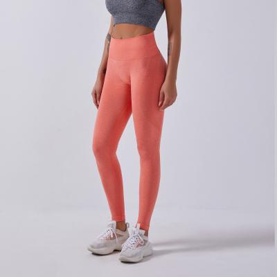 China Other Seamless Squat Proof Yoga Pants See No Through Sports Fitness Workout Pants Gym Wear Sweat-Wicking Woman's Activewear for sale