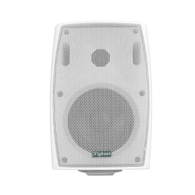 China FT-205 Constant Voltage Music Wall Speaker Indoor PA System for Classroom Conference Indoor Speaker for sale