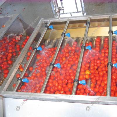 China Tomato Sauce Processing Turnkey Solution for Tomato Juice Tomato Pulp Tomato Puree Processing Line for sale