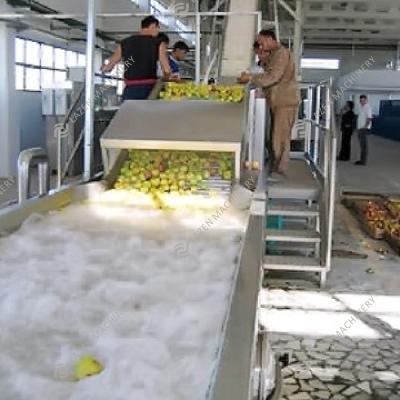 China Industrial Fruit Processing Plant Mango Processing Production Line High Efficient Mango Processing Machinery for sale