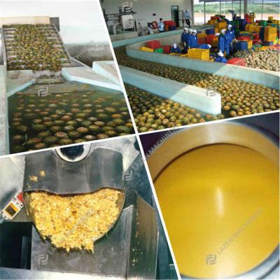 China Processing line fruit processing plant industrial product hot pineapple machine for sale